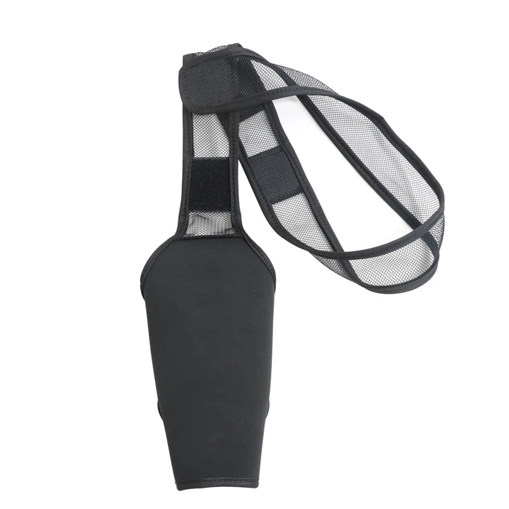 Universal Hip And Knee Brace And Protector For Dogs