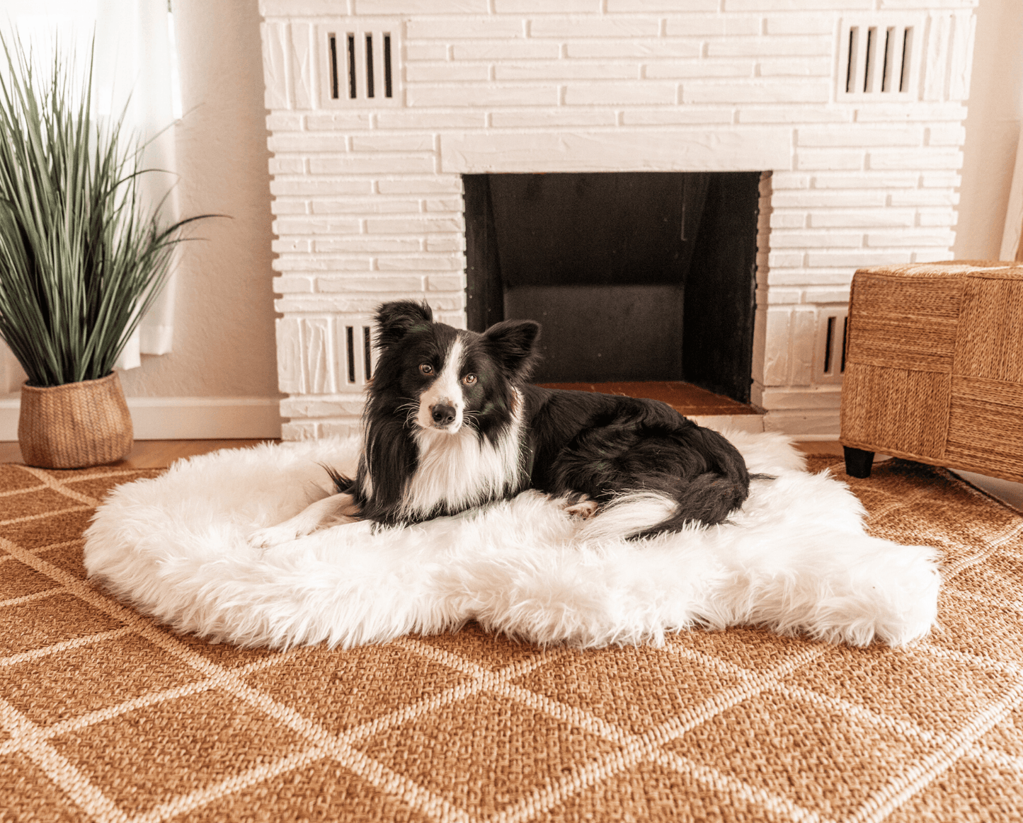PupRug by Paw.com® Faux Fur Orthopedic Dog Bed - Curve Polar White