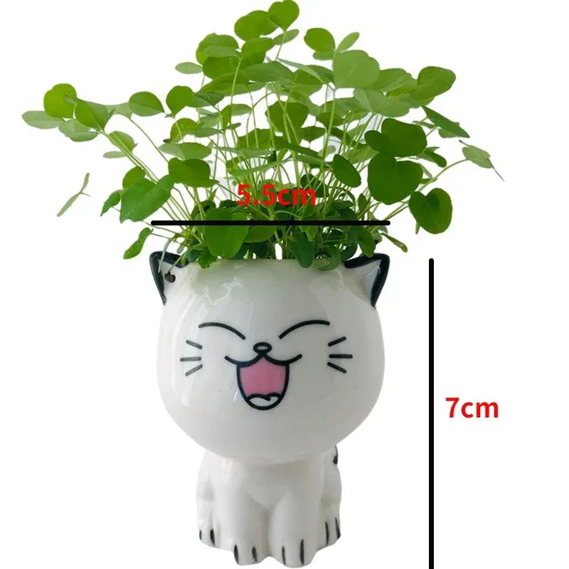 Mini Cat Ceramic Flowerpot