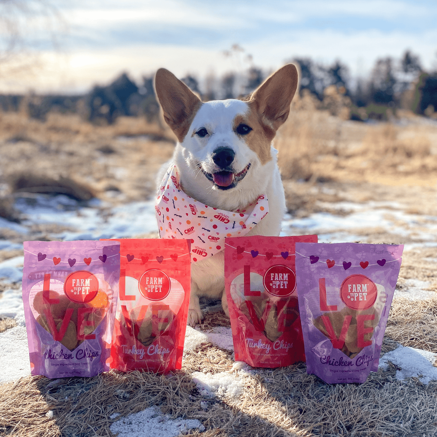 Puppy Love Dog Treat | Poultry Treat Variety Pack
