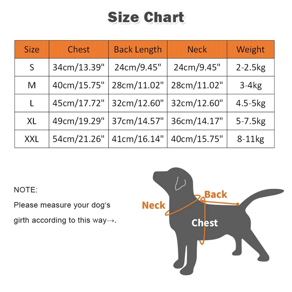 Pet Jacket With Harness