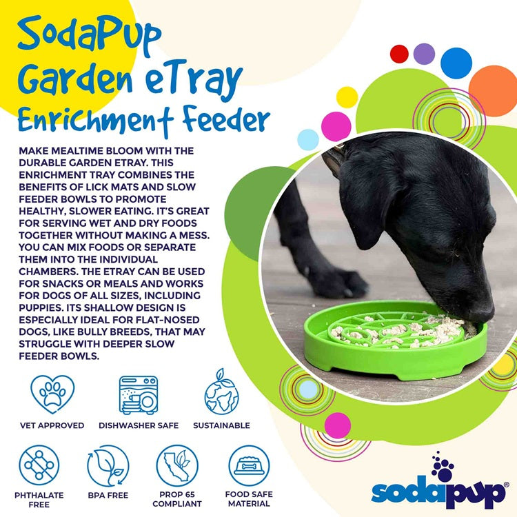 Garden Design eTray Enrichment Shallow Slow Feeder Dog Bowl