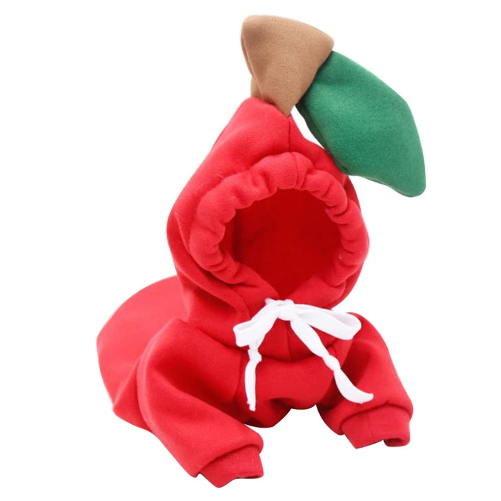 Cute Colorful Pet Clothing