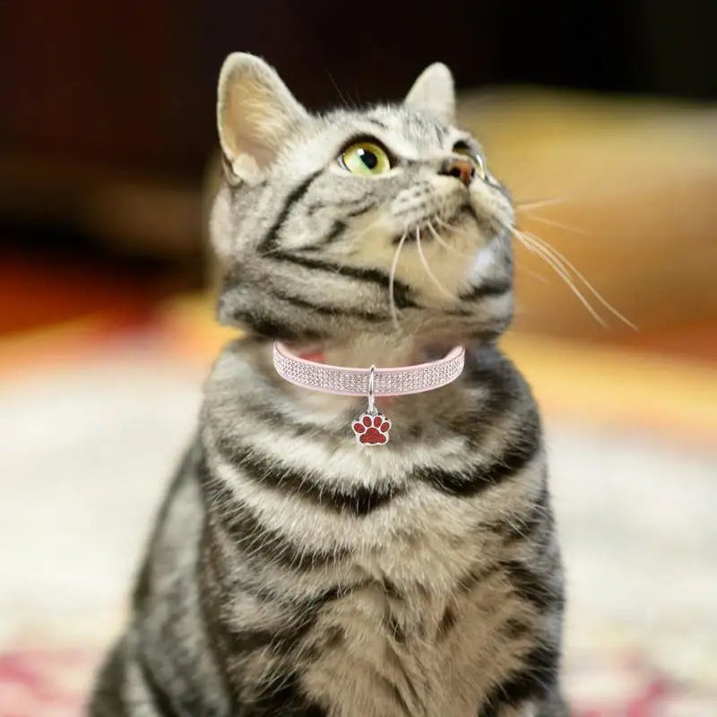 Sparkling Pet Collars With Paw Print Tag