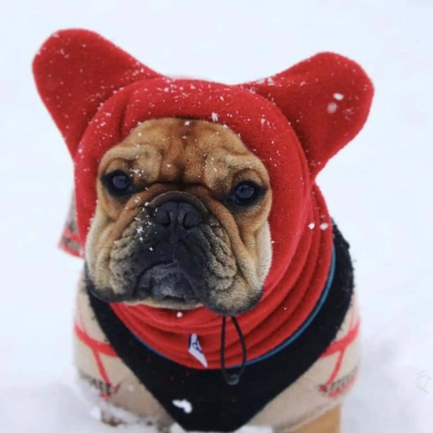 Winter Pet Hat Fleece And Adjustable