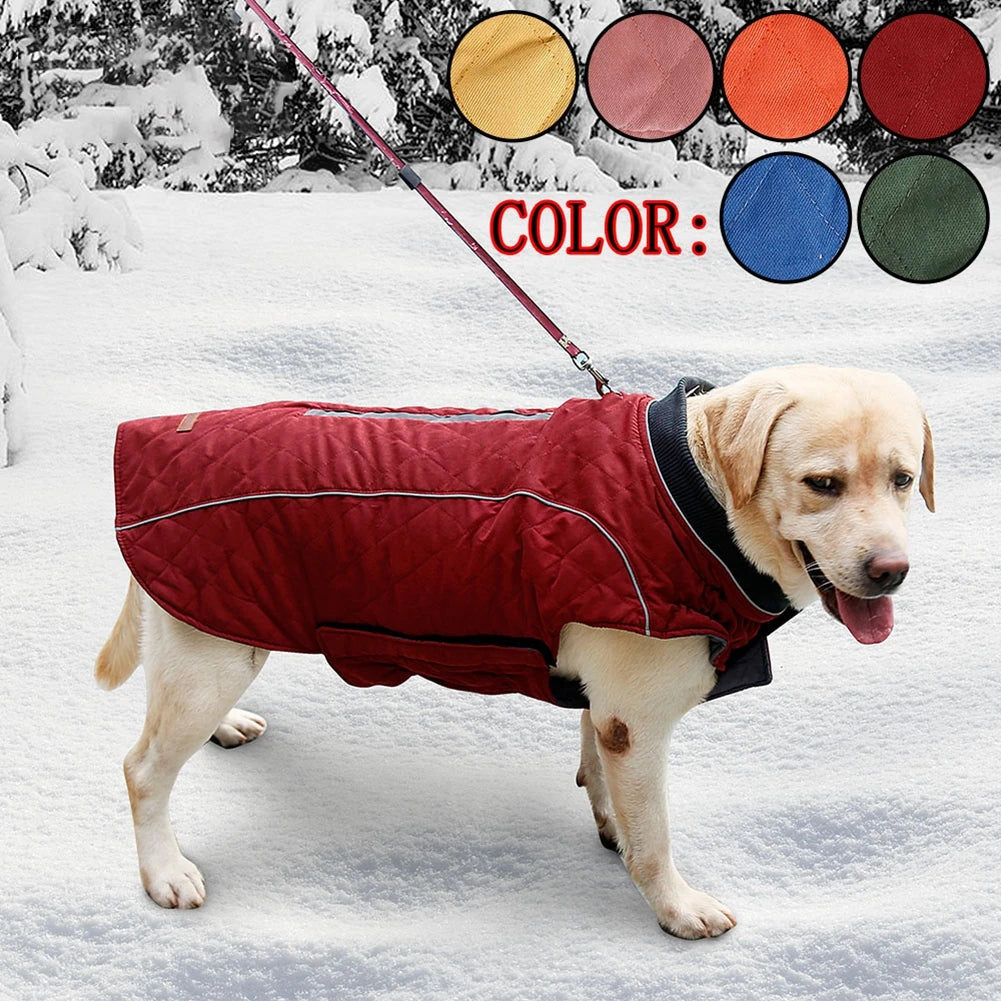 Reflective Big Dog Down Jacket
