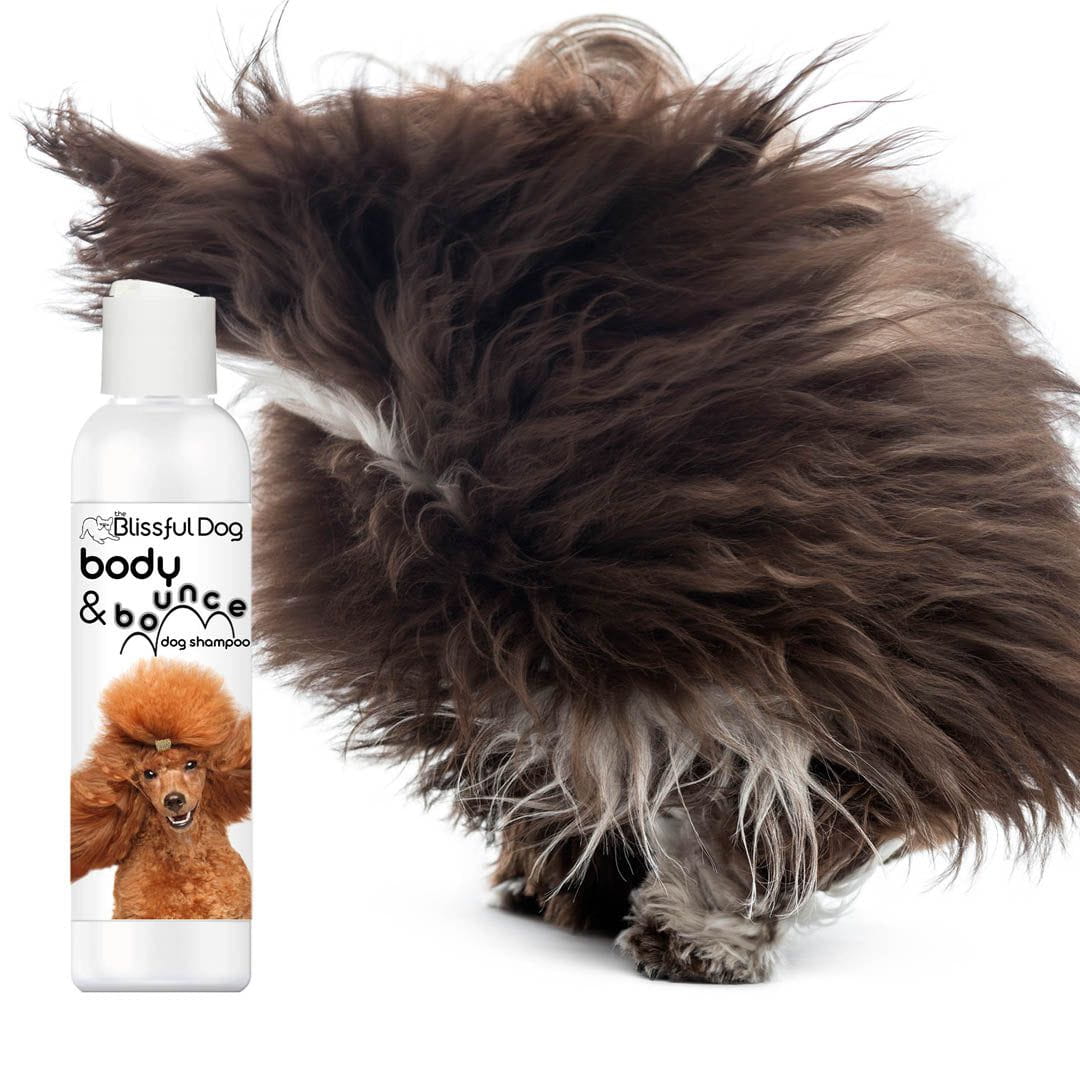 Body & Bounce Dog Shampoo