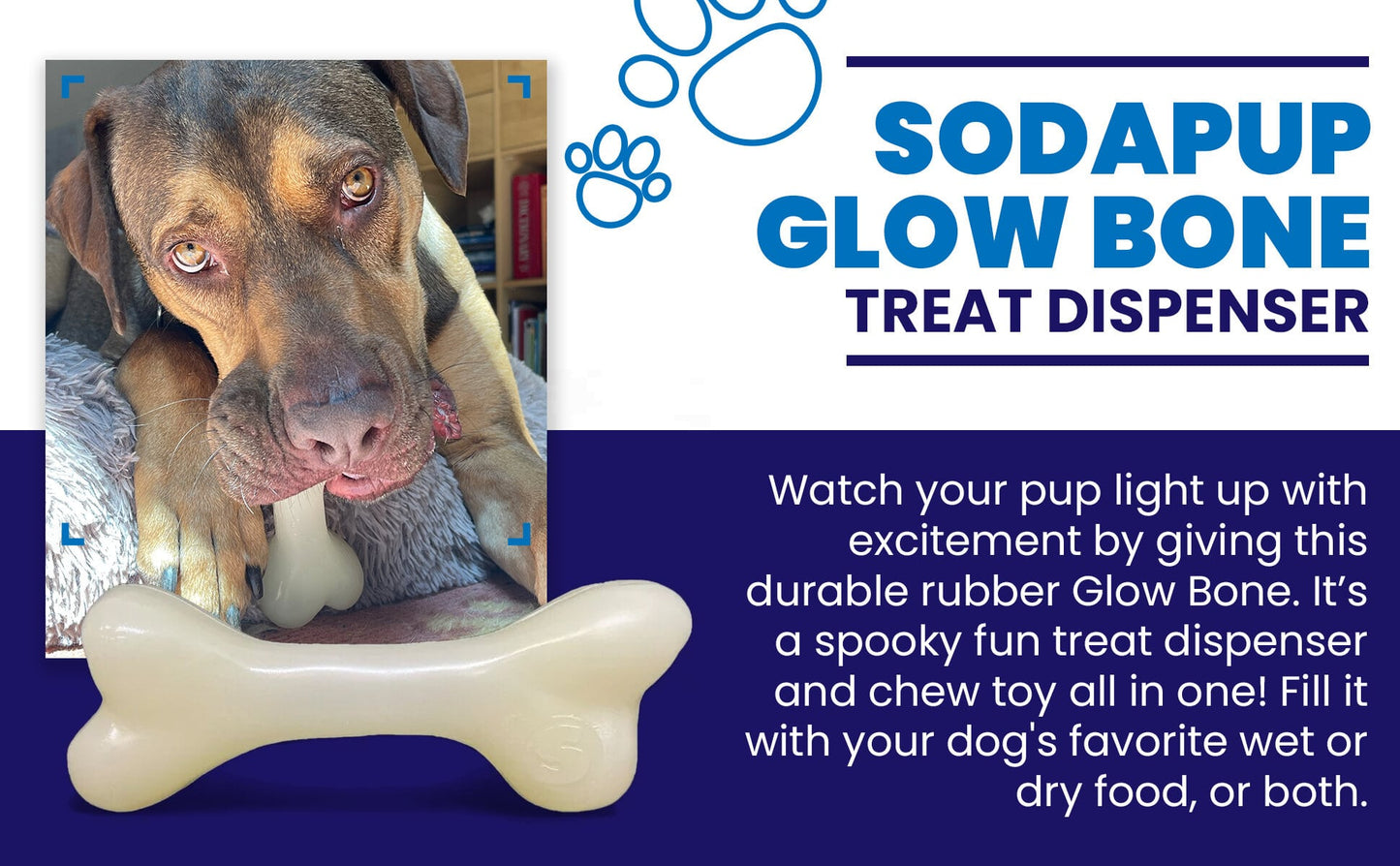 PUP-X Synthetic Rubber Chewing & Floating Bone Toy - Glow in the Dark