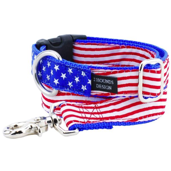 #1 1″ Stars and Stripes Essential Buckle Martingale Dog Collar