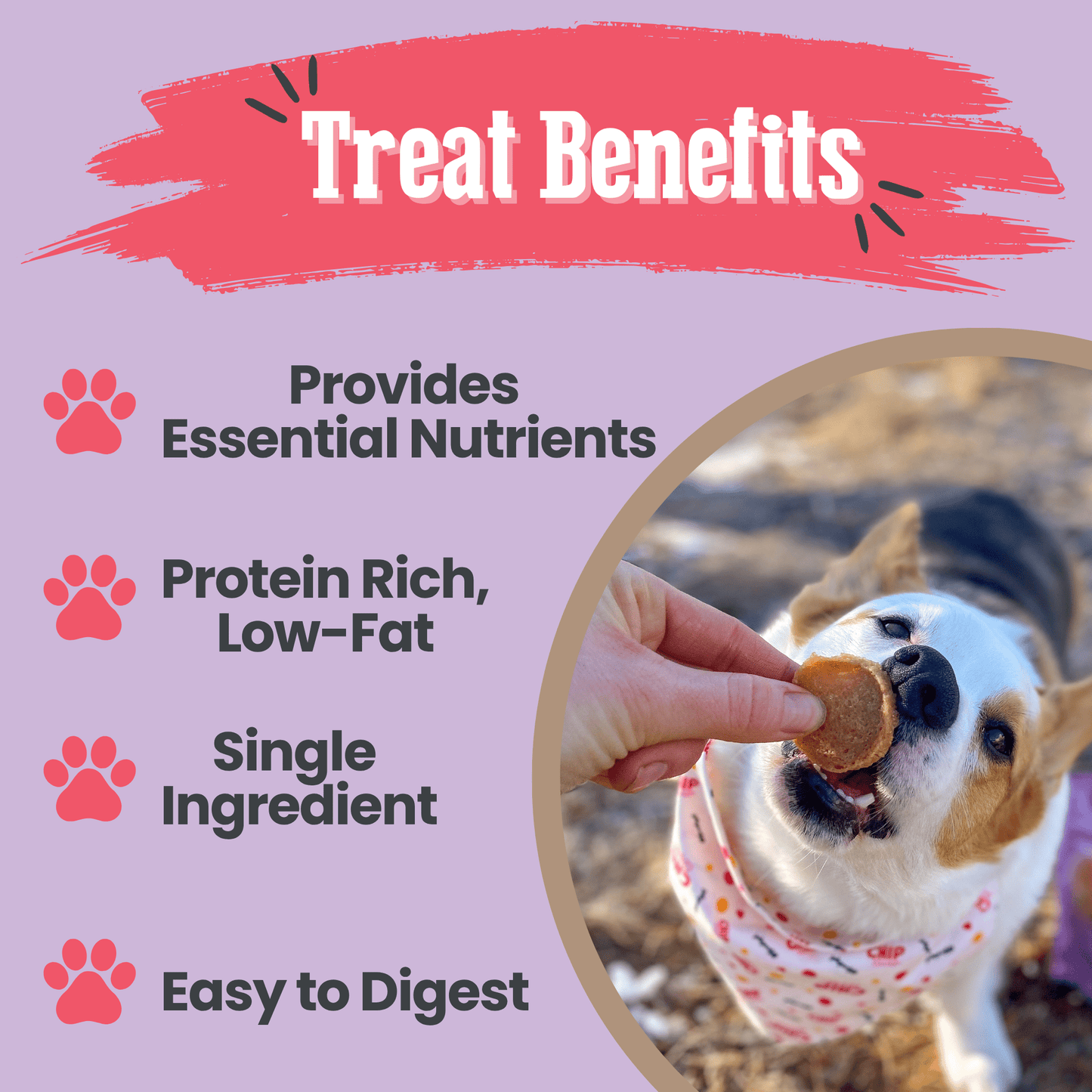 Puppy Love Dog Treat | Poultry Treat Variety Pack