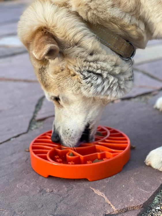 Sun and Moon Design eTray Enrichment Shallow Slow Feeder Dog Bowl