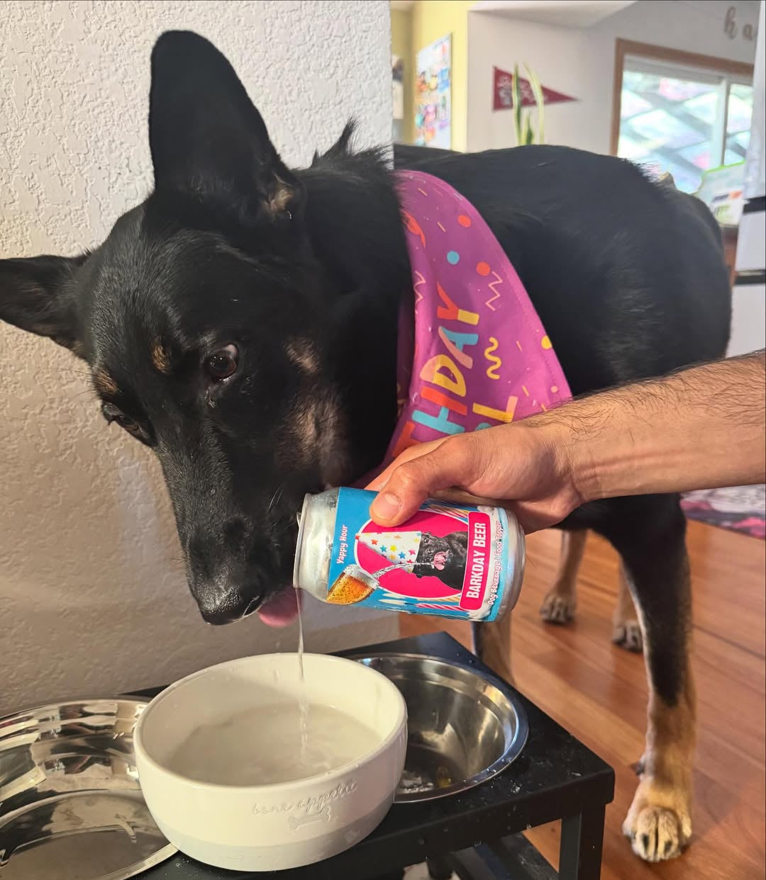 Barkday Dog Beer