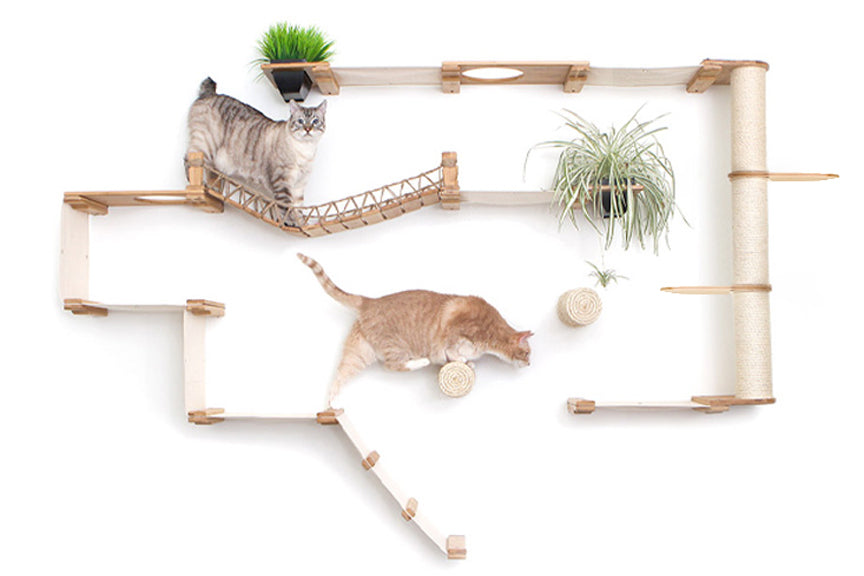 The Juggernaut - Indoor Cat Playground for Wall