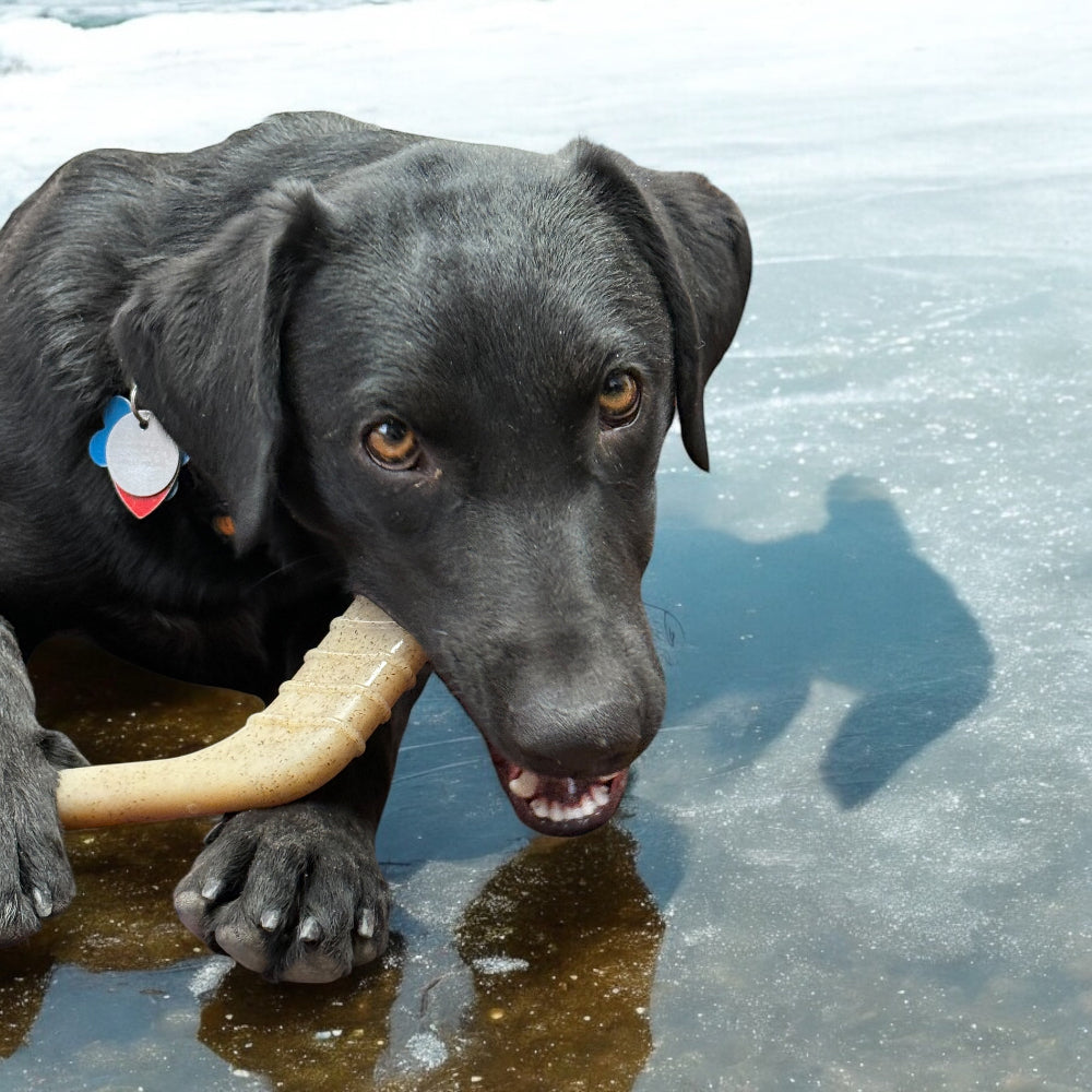 Hockey Stick Durable Nylon Chew Toy - Medium
