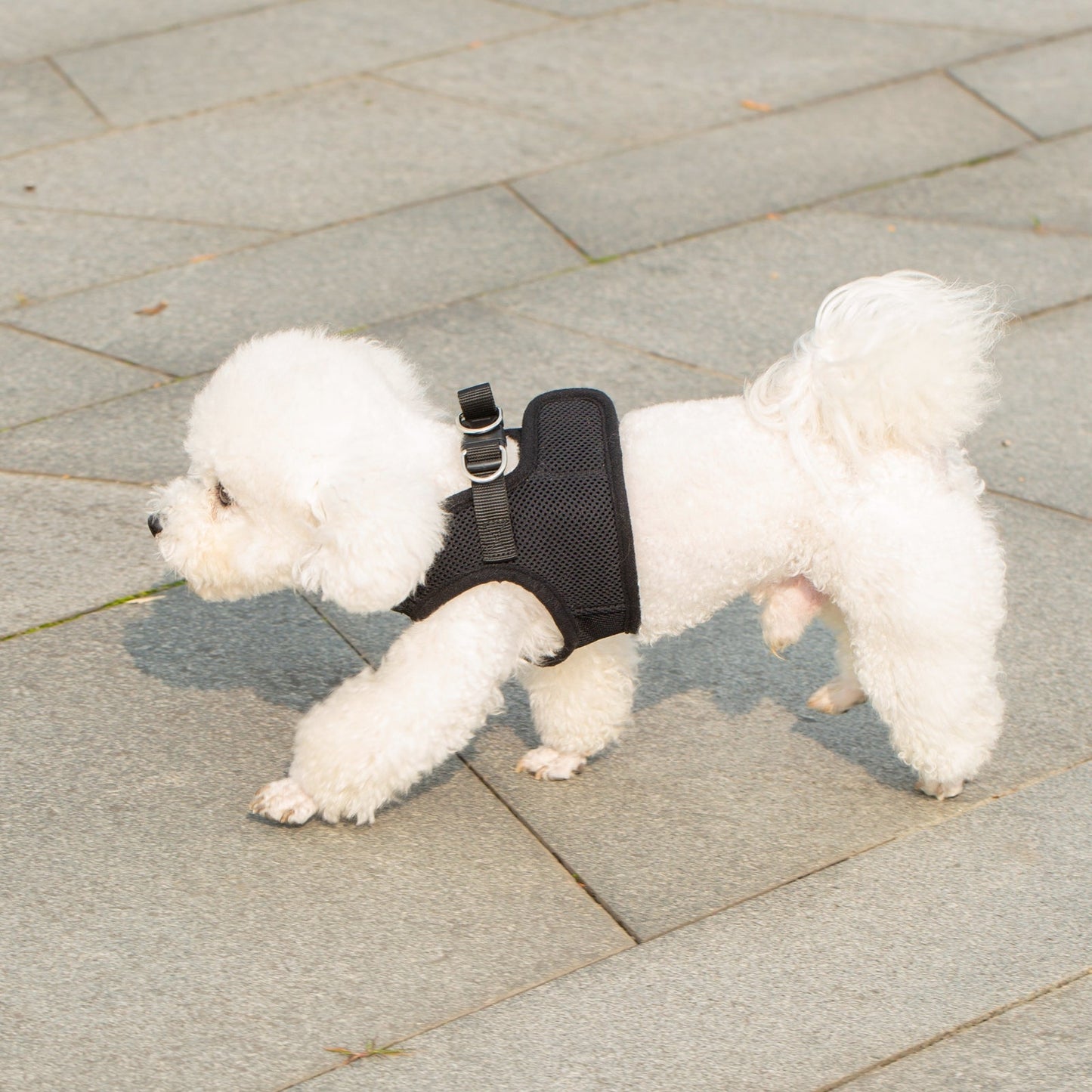 Mr. Peanut's PetTrek Soft Mesh Pet Harness with Matching Leash – Adjustable, Breathable, Choke-Free