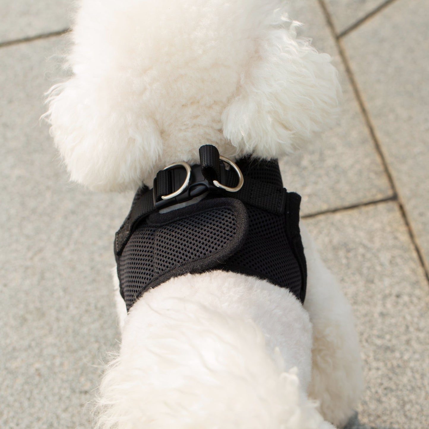 Mr. Peanut's PetTrek Soft Mesh Pet Harness with Matching Leash – Adjustable, Breathable, Choke-Free