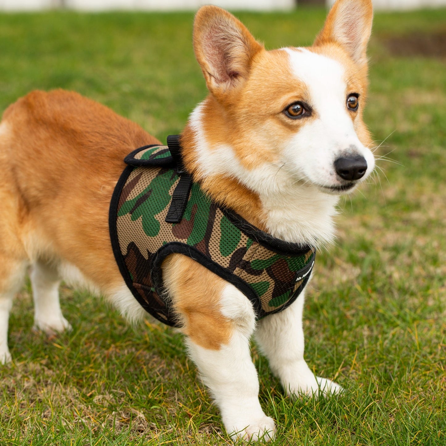 Mr. Peanut's PetTrek Soft Mesh Pet Harness with Matching Leash – Adjustable, Breathable, Choke-Free