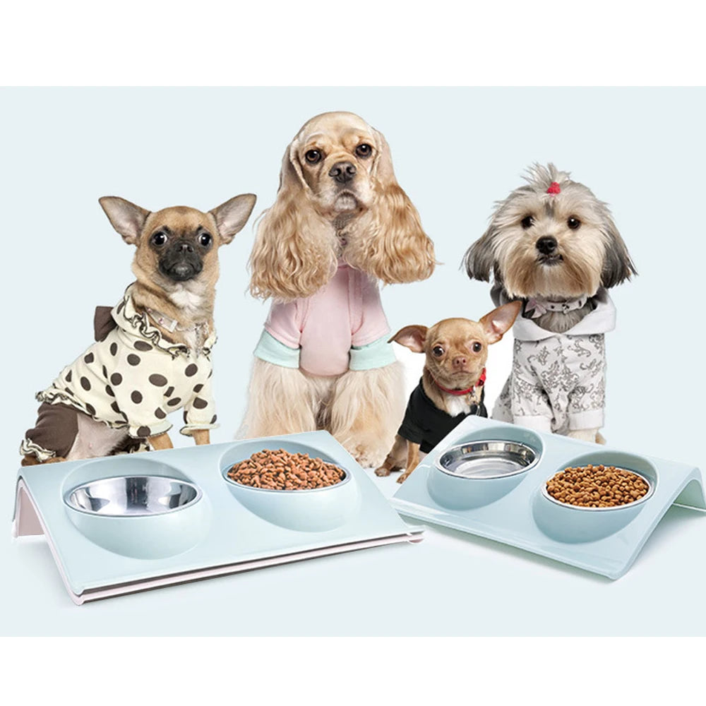 Stainless Steel Pet Double Bowl