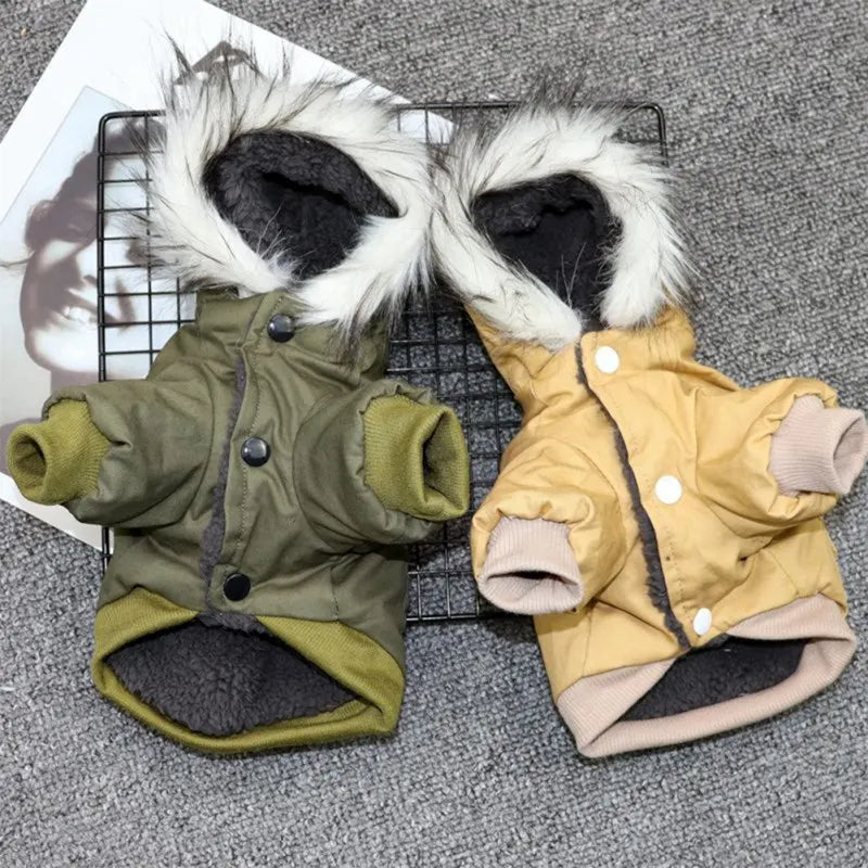 Winter Pet jacket and Faux Fur Collar