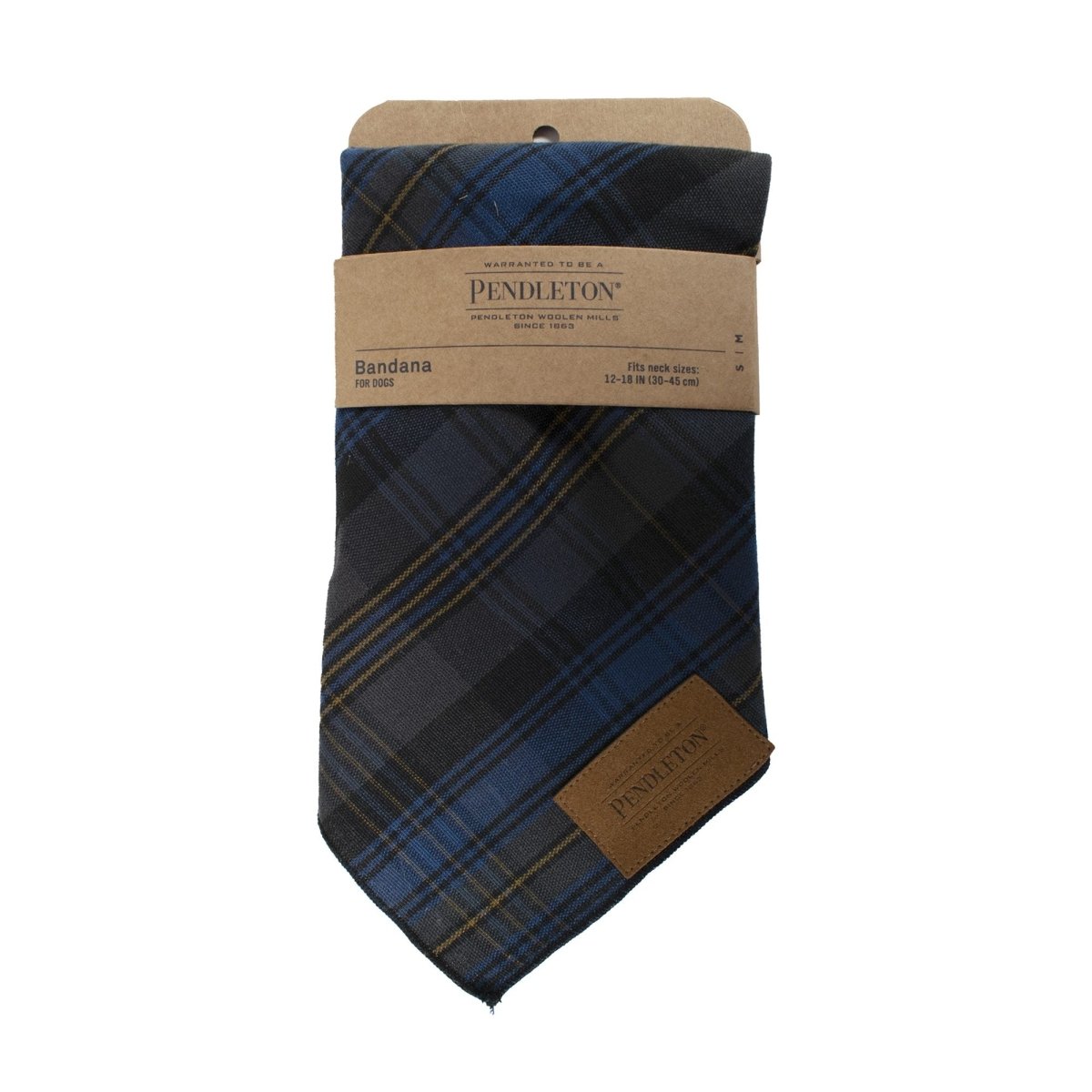 Pendleton Crescent Lake Plaid Bandana for Dogs
