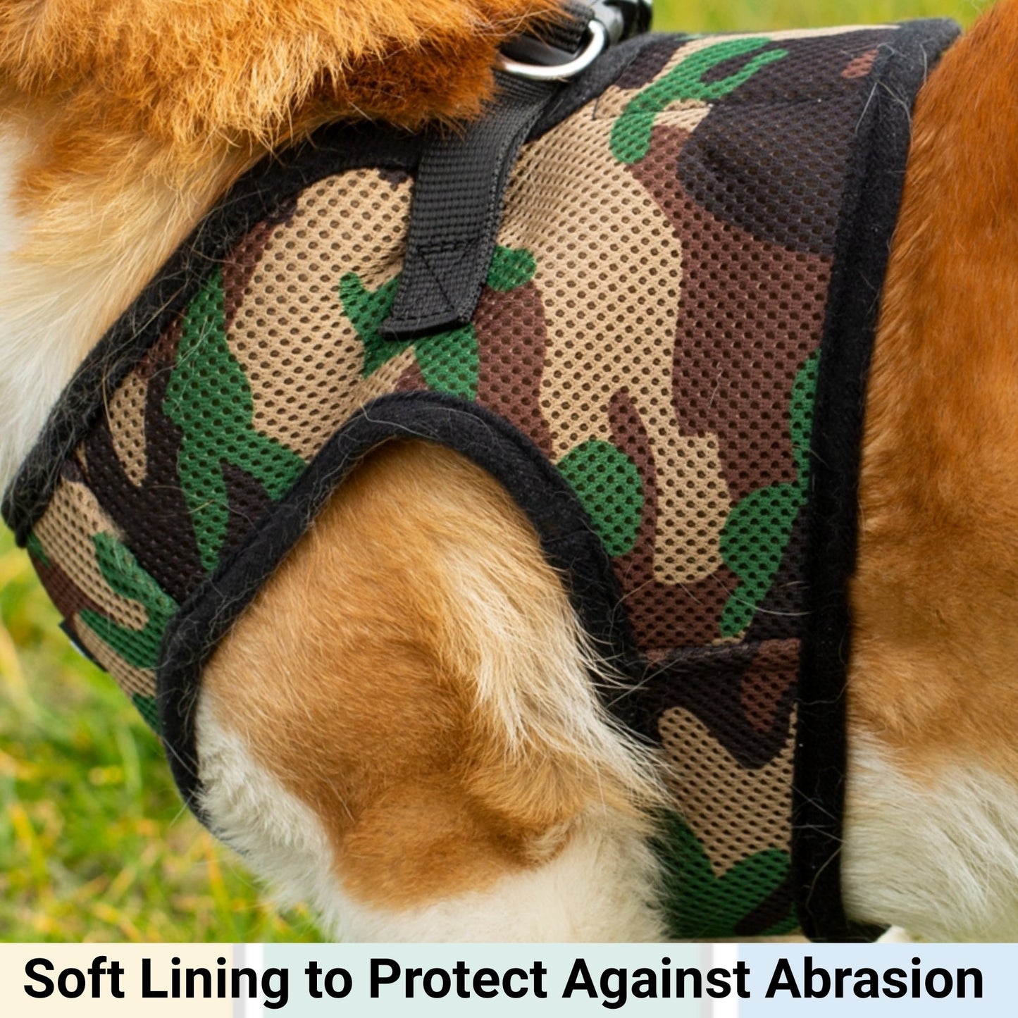 Mr. Peanut's PetTrek Soft Mesh Pet Harness with Matching Leash – Adjustable, Breathable, Choke-Free