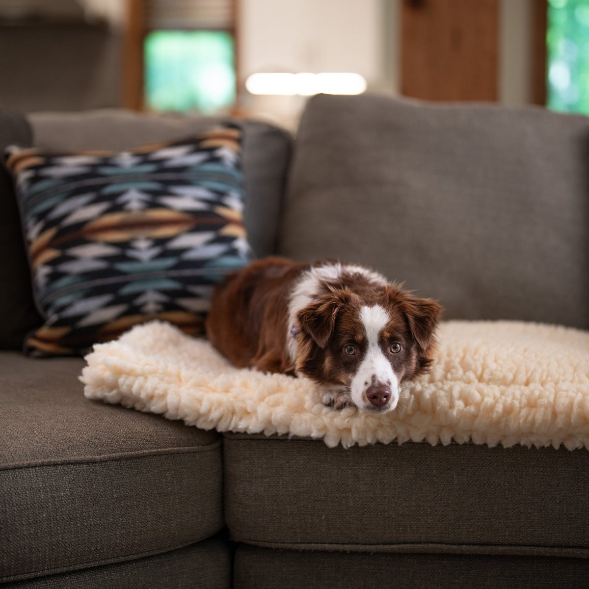 Sherpa Comfort Cushion