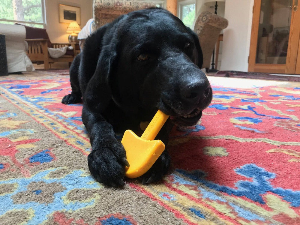 Shovel Ultra Durable Nylon Dog Chew Toy