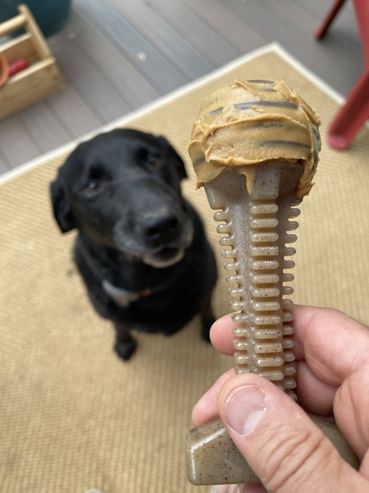 Honey Bone Dental Tower eChew Ultra Durable Nylon Dog Chew Toy - original