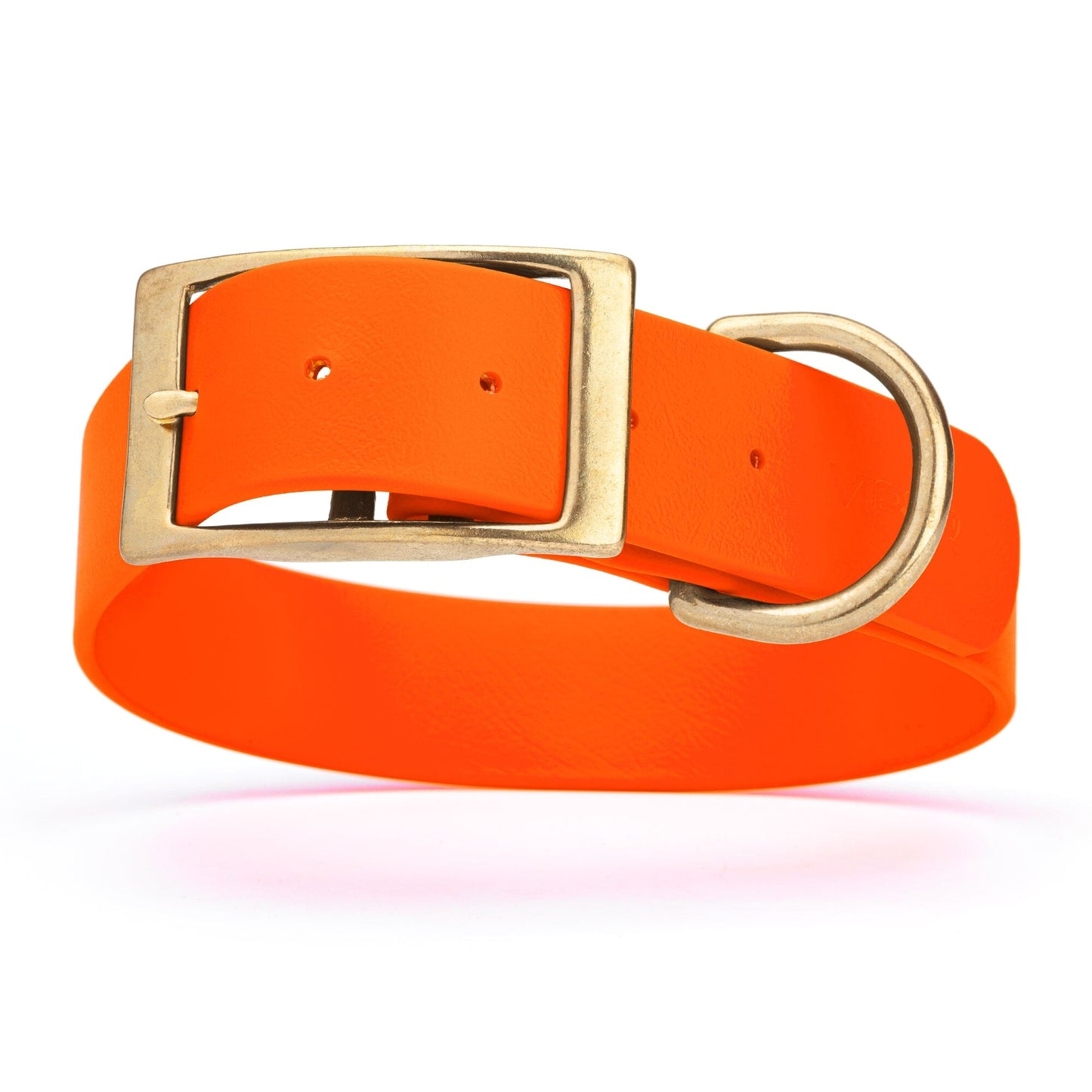 Viper Biothane Waterproof Dog Collar - Brass Hardware - 1.5in Wide - Size XXL (24" - 28")