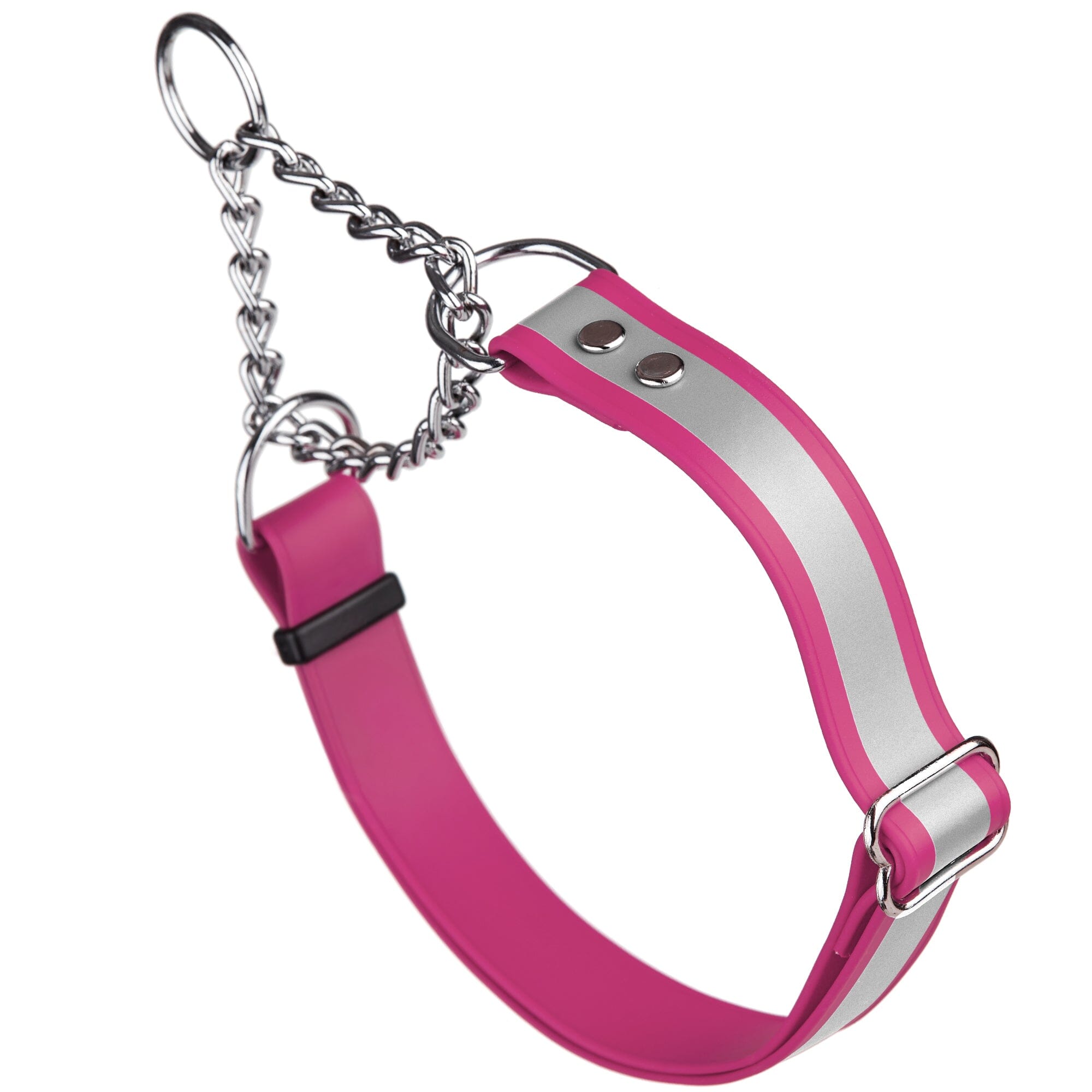 Reflective Biothane Martingale Collar for Dogs