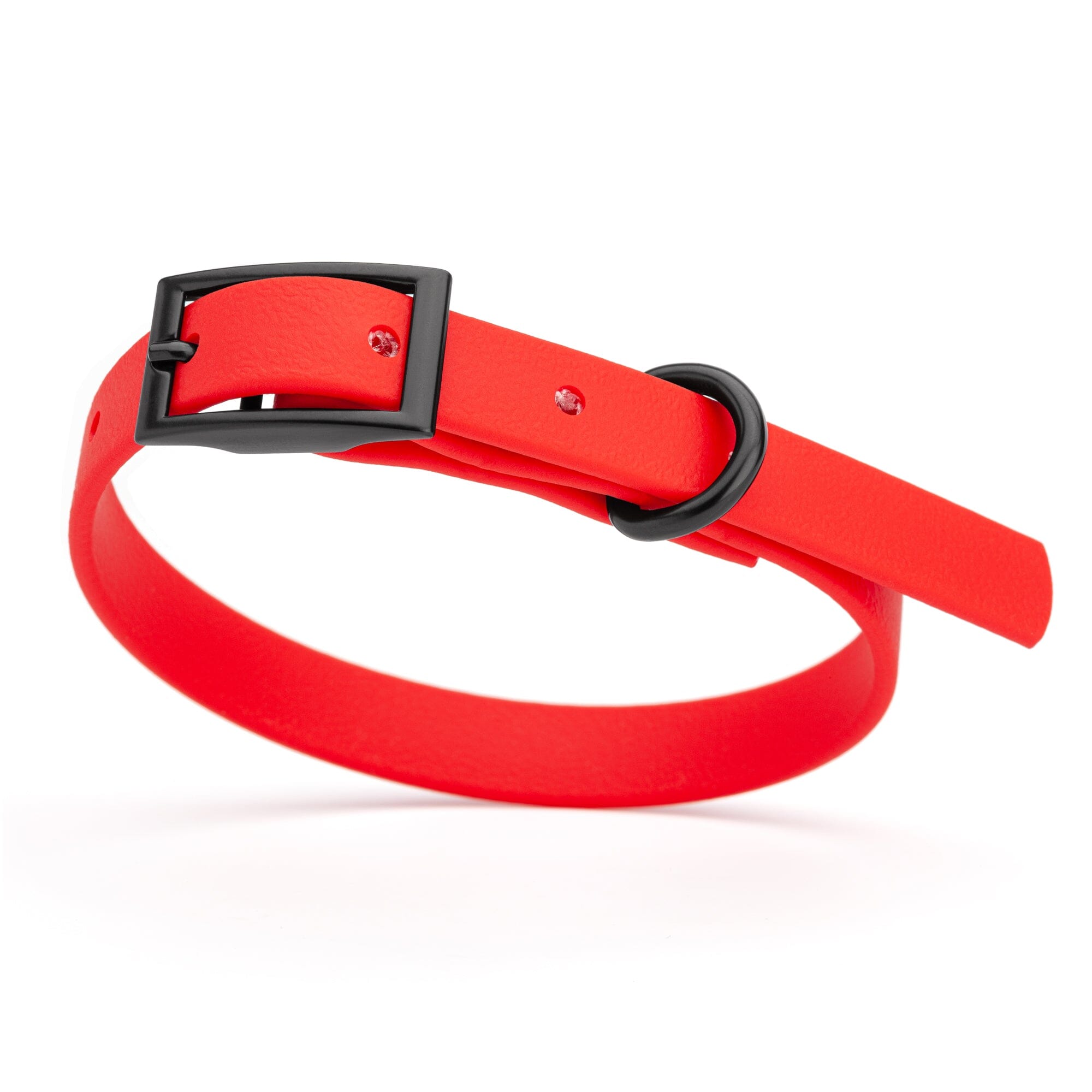 Biothane Waterproof Dog Collar - X-Small (9 to 12 inches)