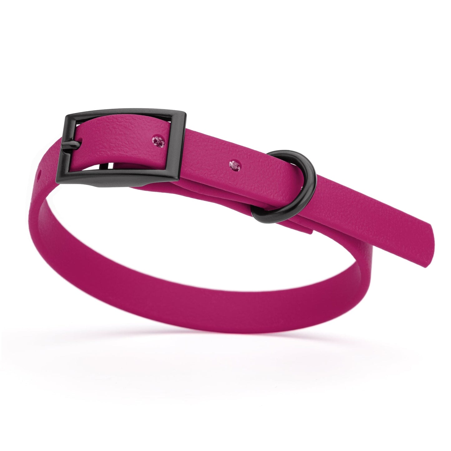Biothane Waterproof Dog Collar - X-Small (9 to 12 inches)