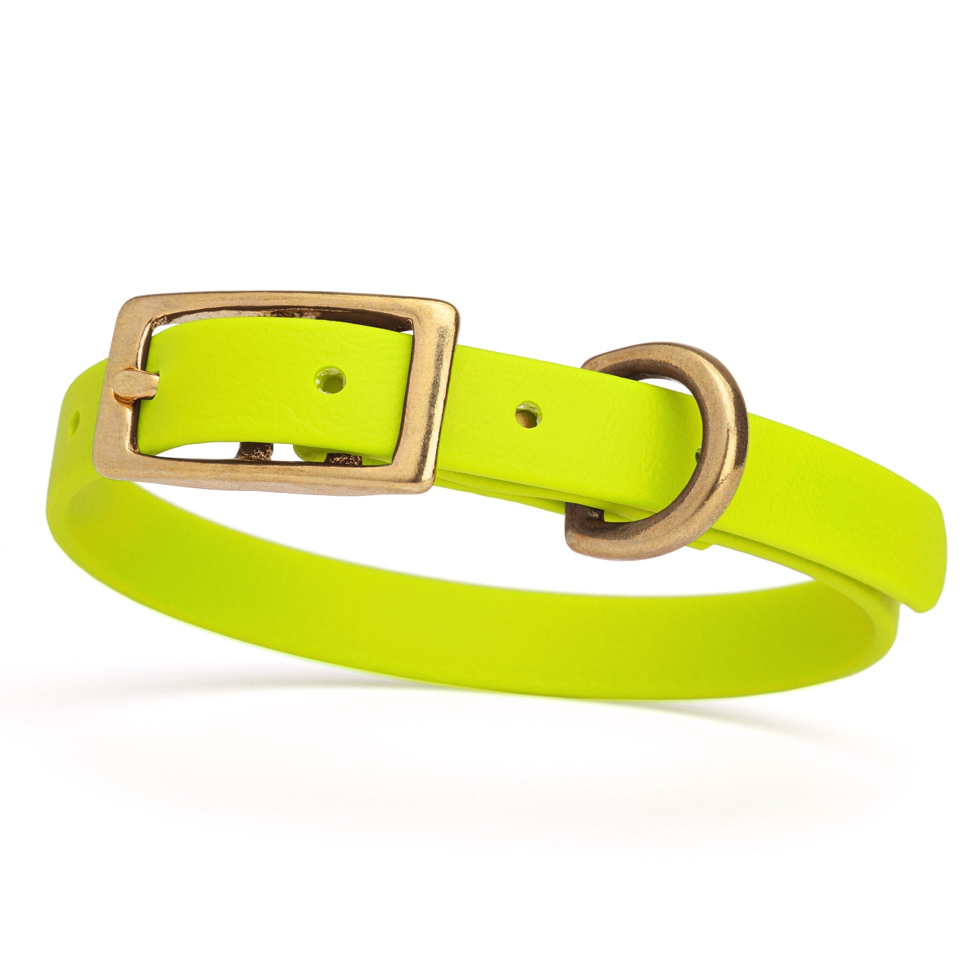 Viper Biothane Waterproof Dog Collar with Brass Hardware