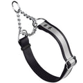Reflective Biothane Martingale Collar for Dogs