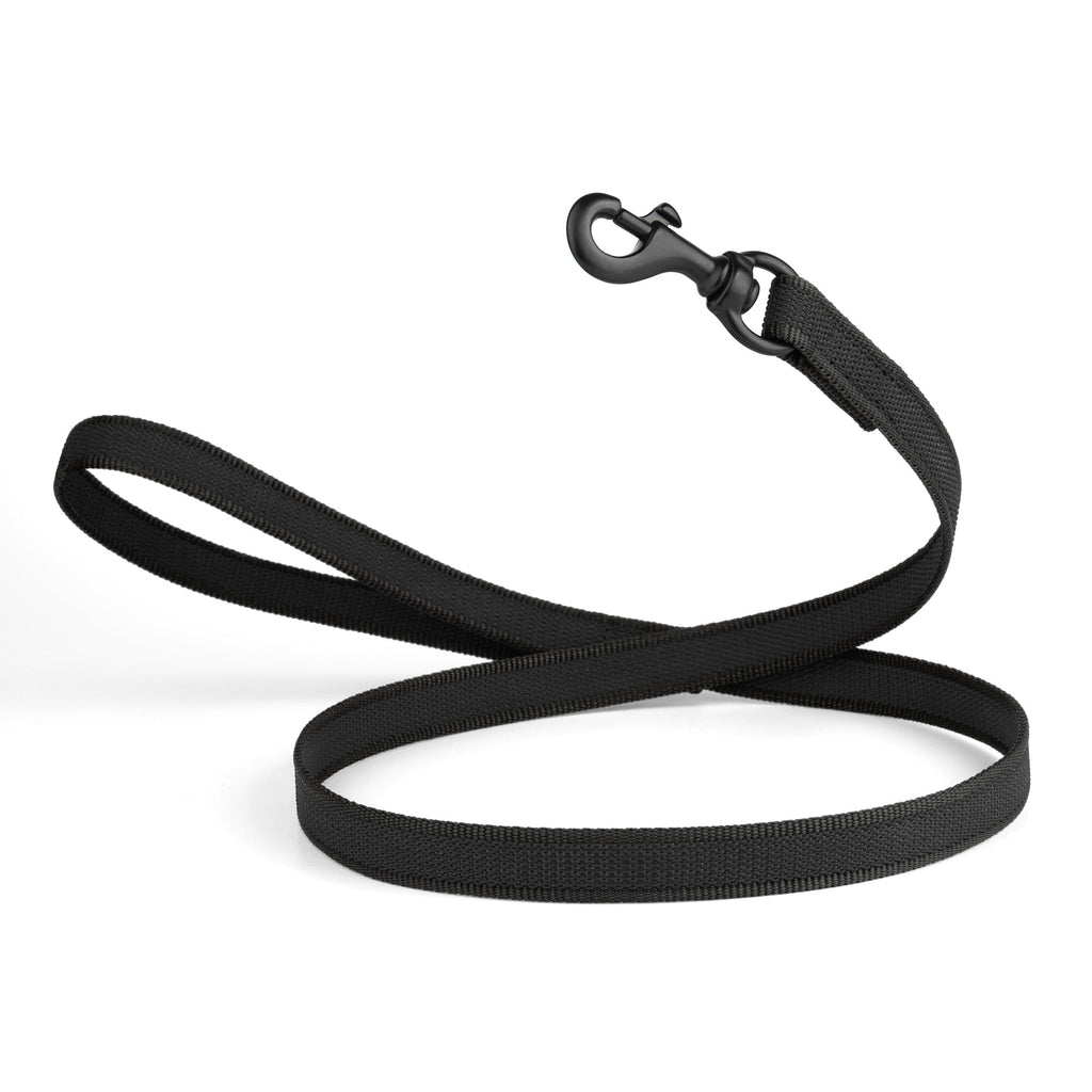 Rubber Infused Nylon Dog Leash
