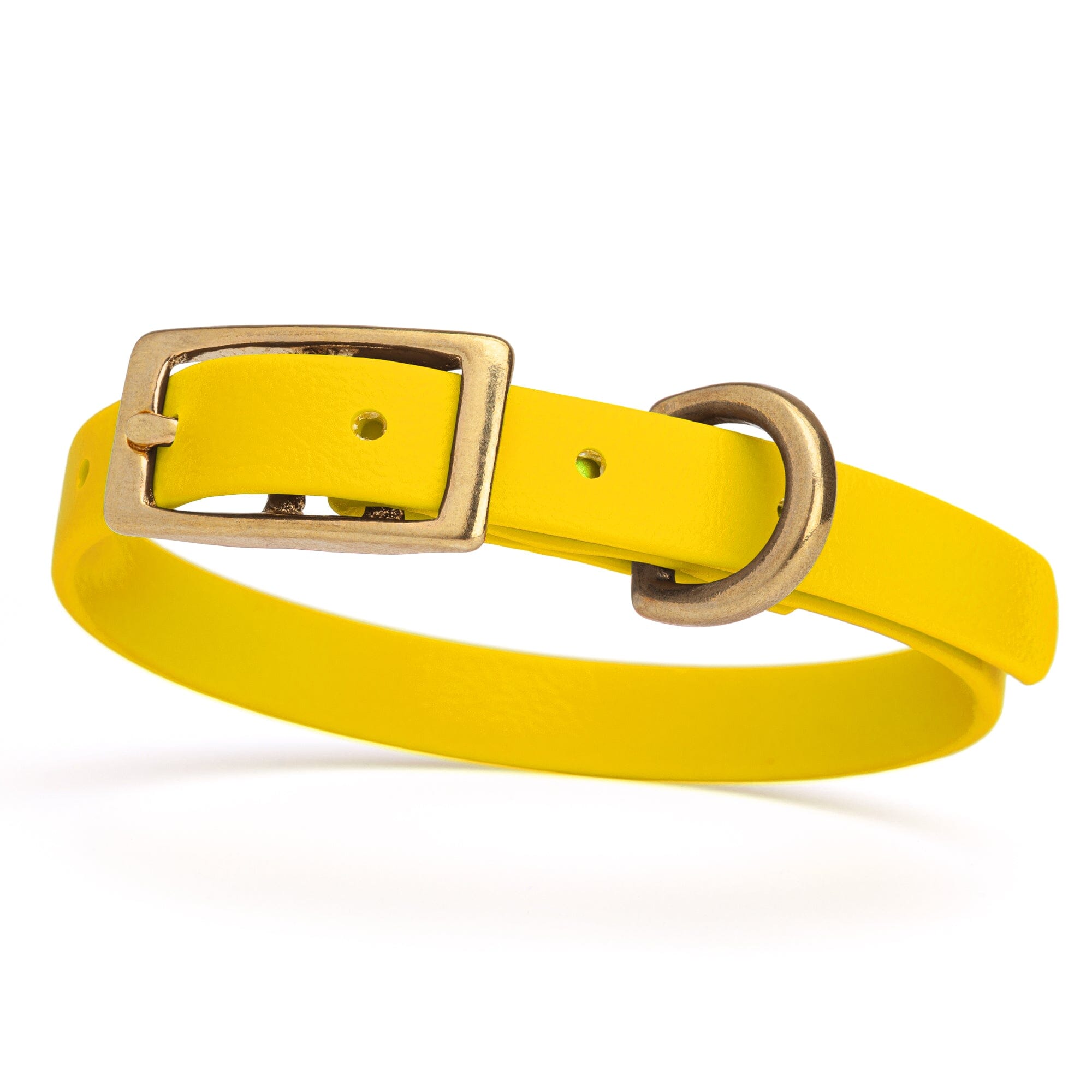 Viper Biothane Waterproof Dog Collar with Brass Hardware