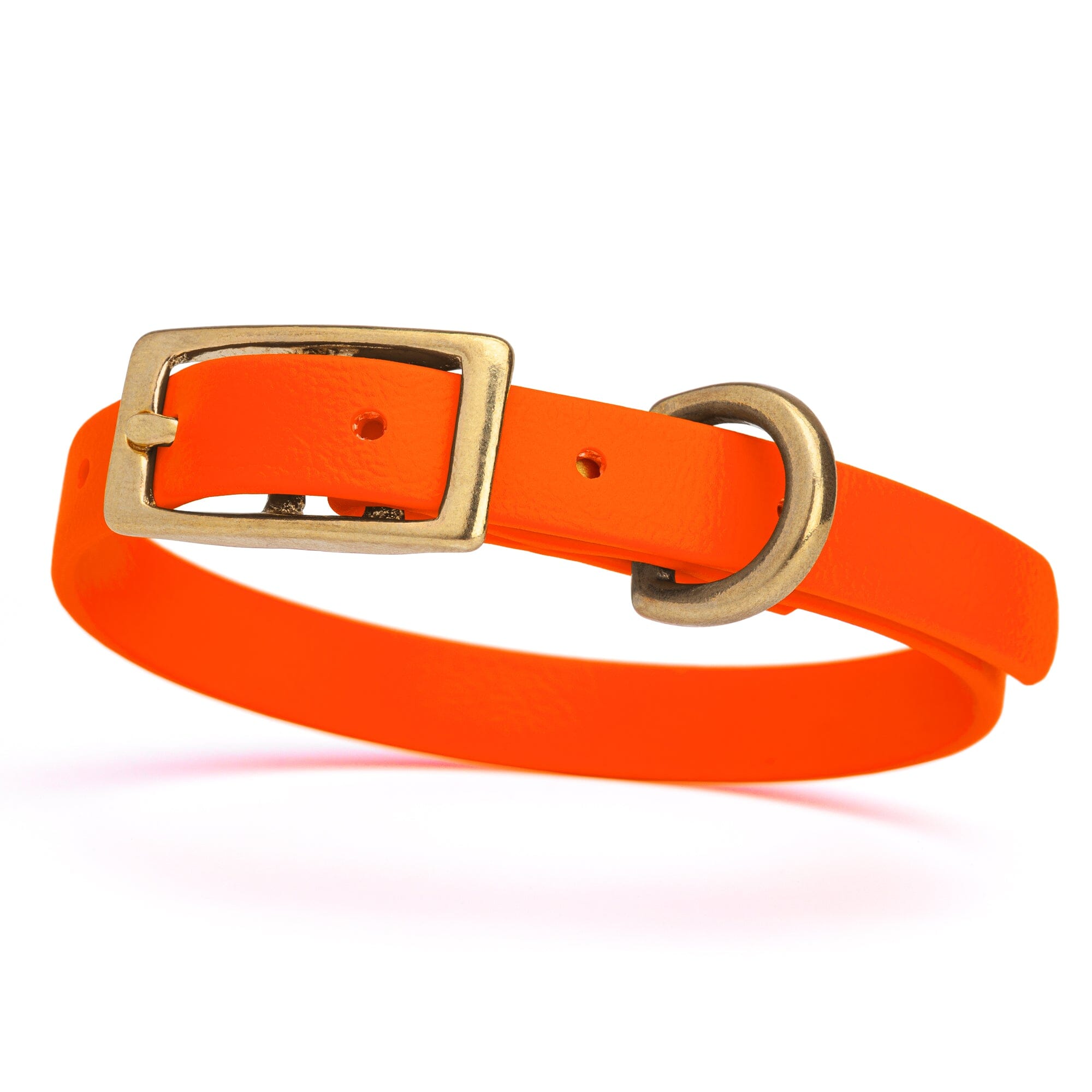 Viper Biothane Waterproof Dog Collar with Brass Hardware