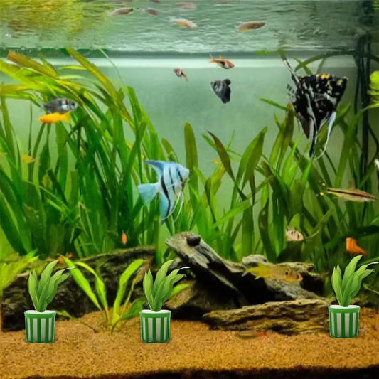 Fixed Ring Fish Tank Water Plants 10pcs