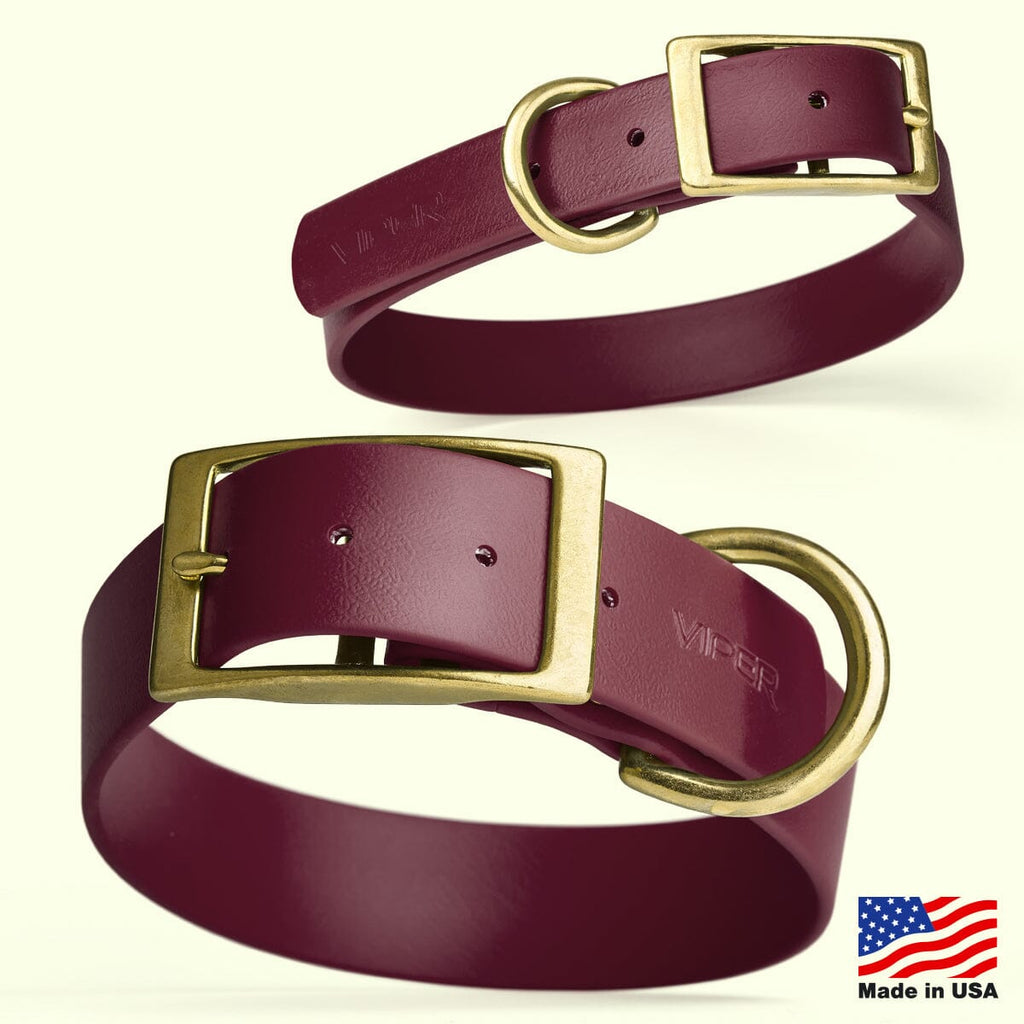 Viper Biothane Waterproof Dog Collar with Brass Hardware