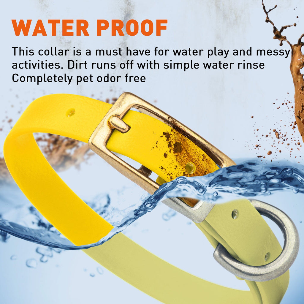 Viper Biothane Waterproof Dog Collar with Brass Hardware