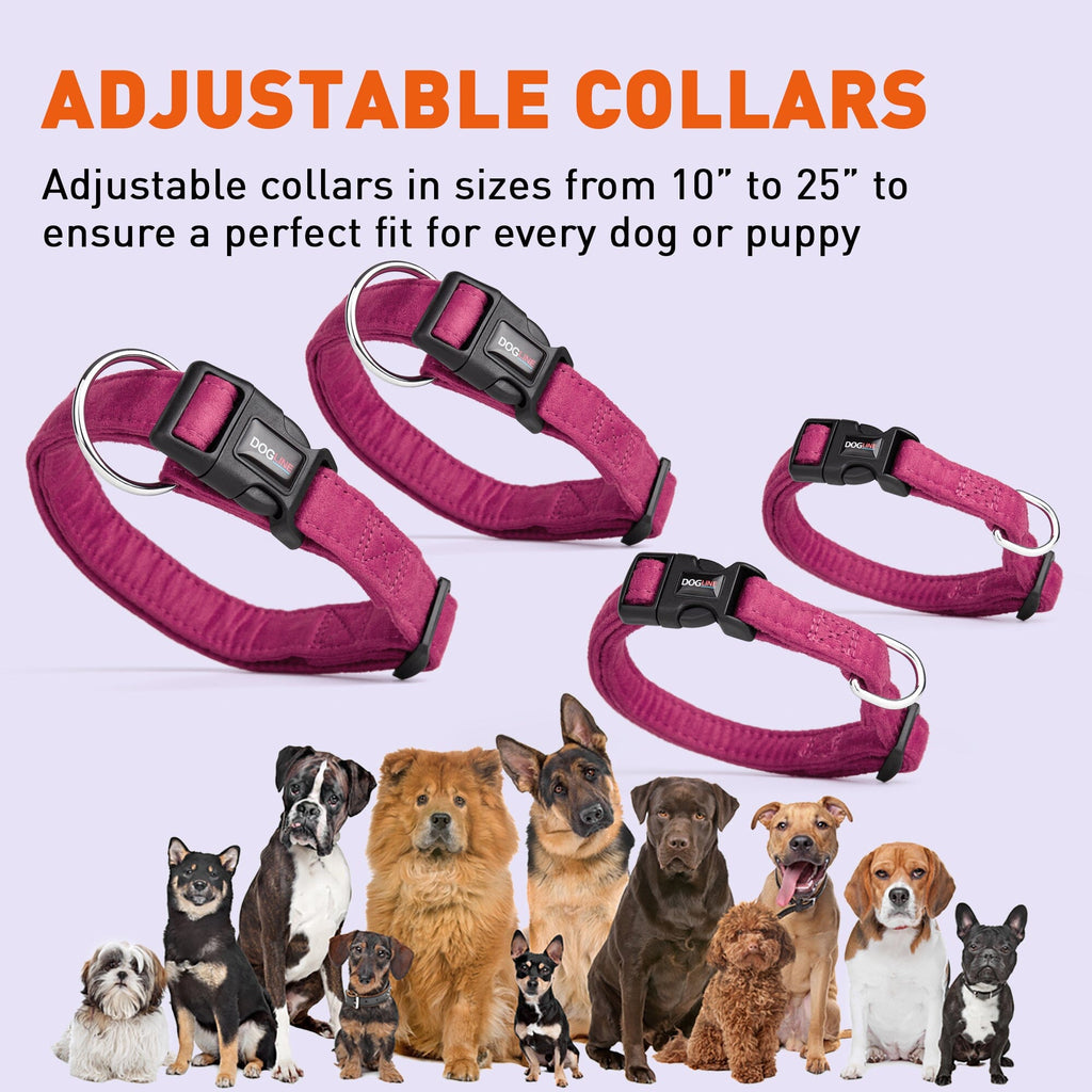 Comfort Microfiber Flat Dog Collar