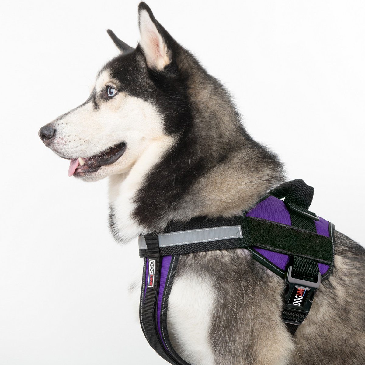 Unimax Multi-Purpose Dog Harness
