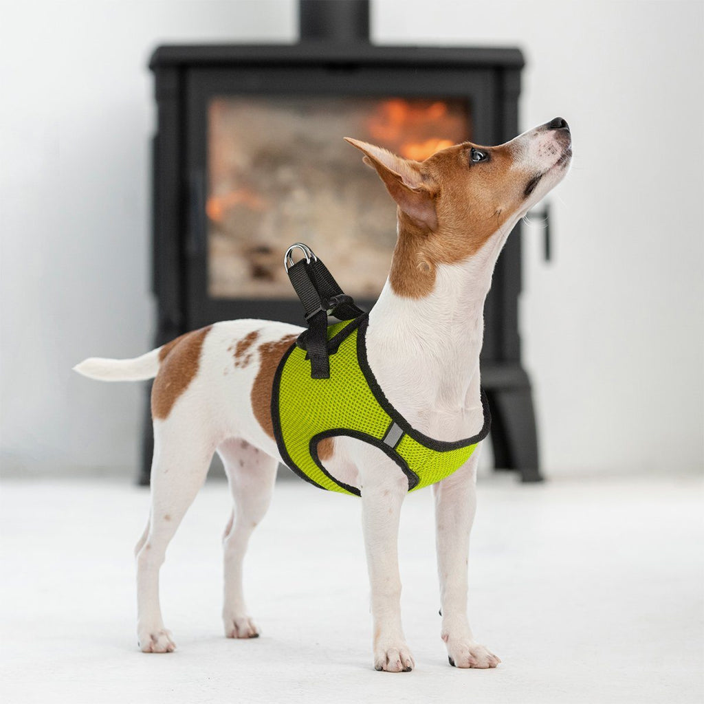 York Mesh Dog Harness