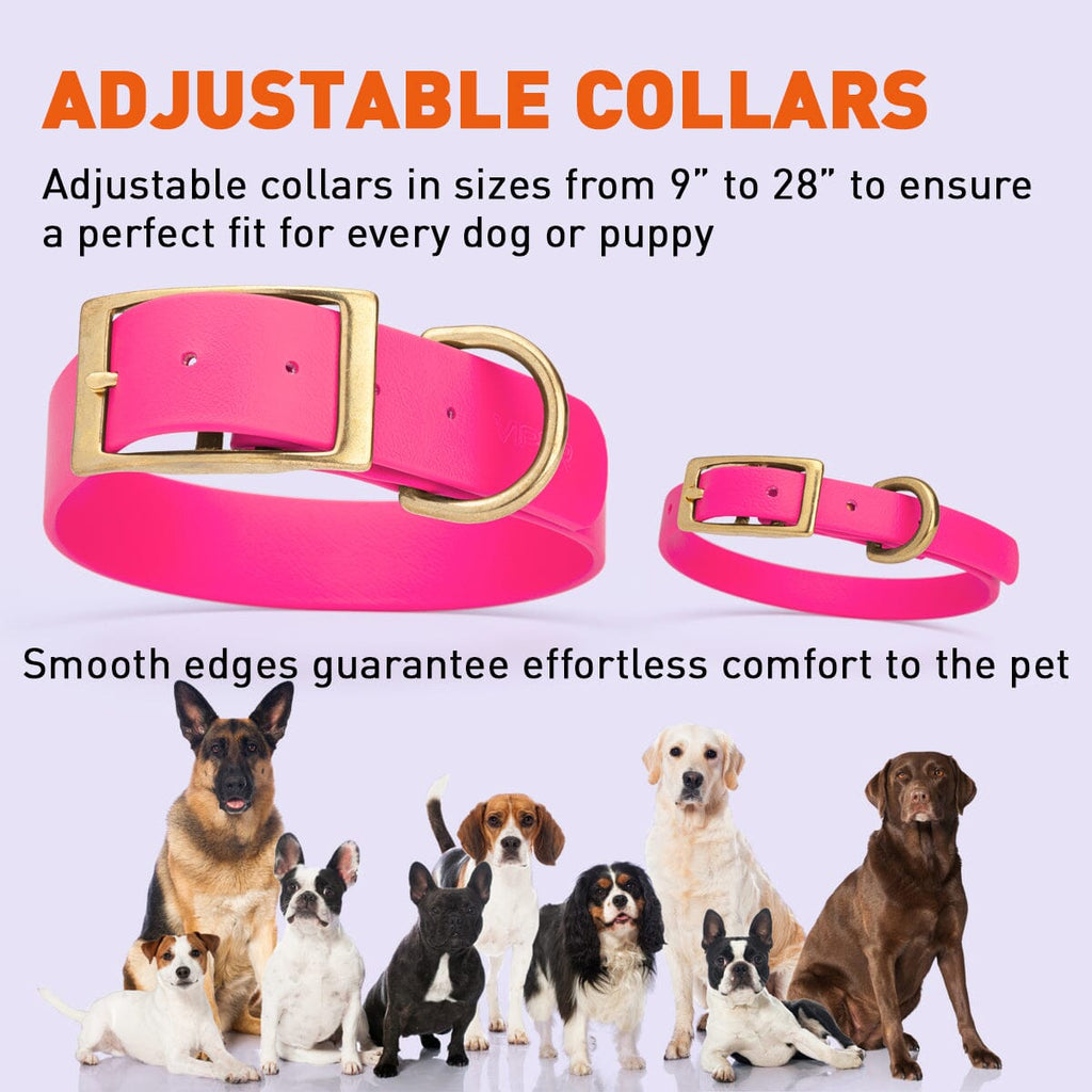Viper Biothane Waterproof Dog Collar with Brass Hardware