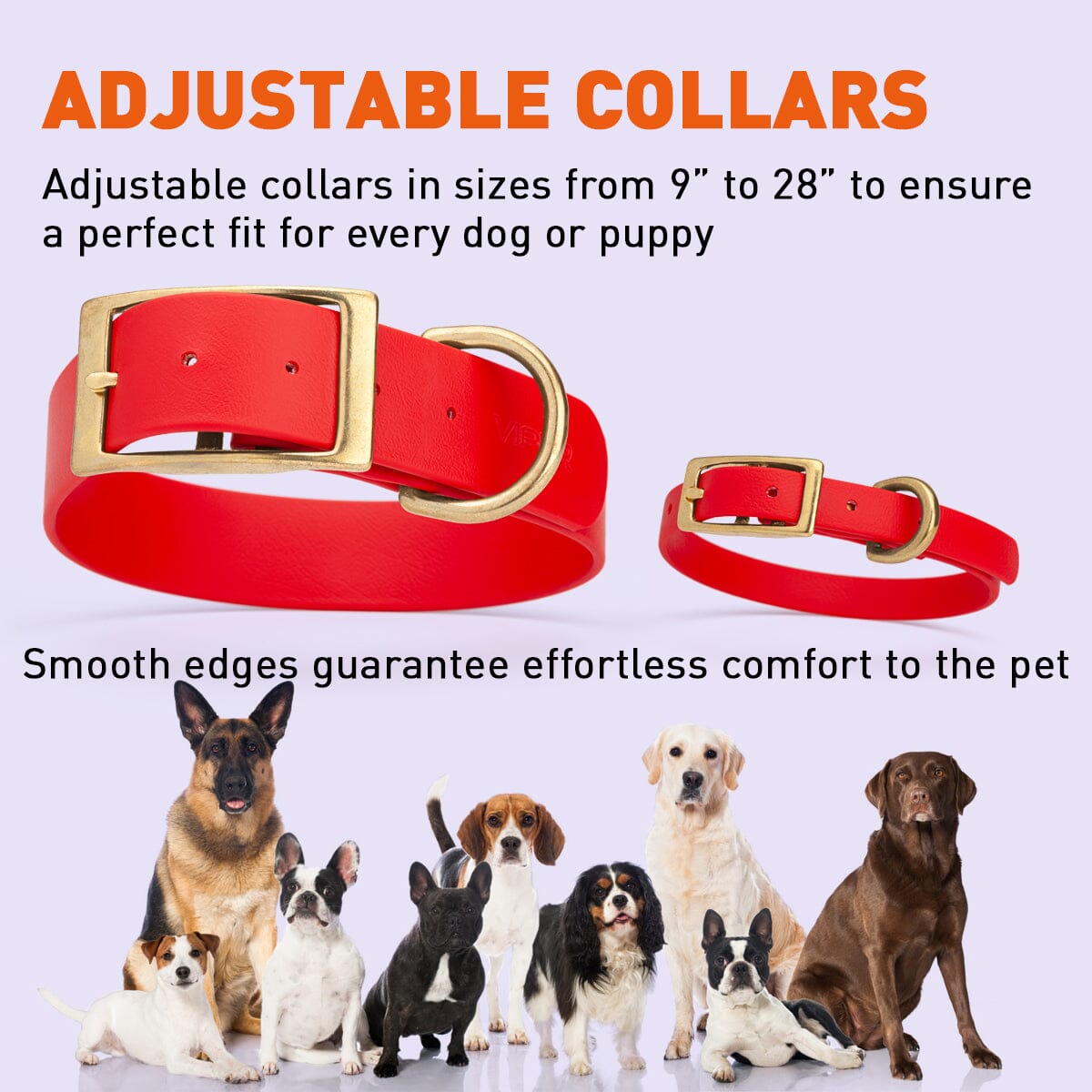 Viper Biothane Waterproof Dog Collar - Brass Hardware - 1.5in Wide - Size XXL (24" - 28")