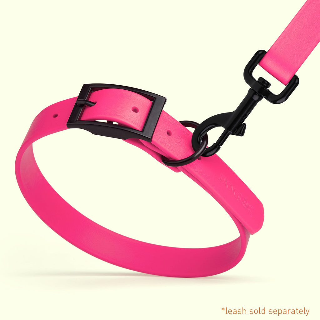 Biothane Waterproof Dog Collar - X-Small (9 to 12 inches)