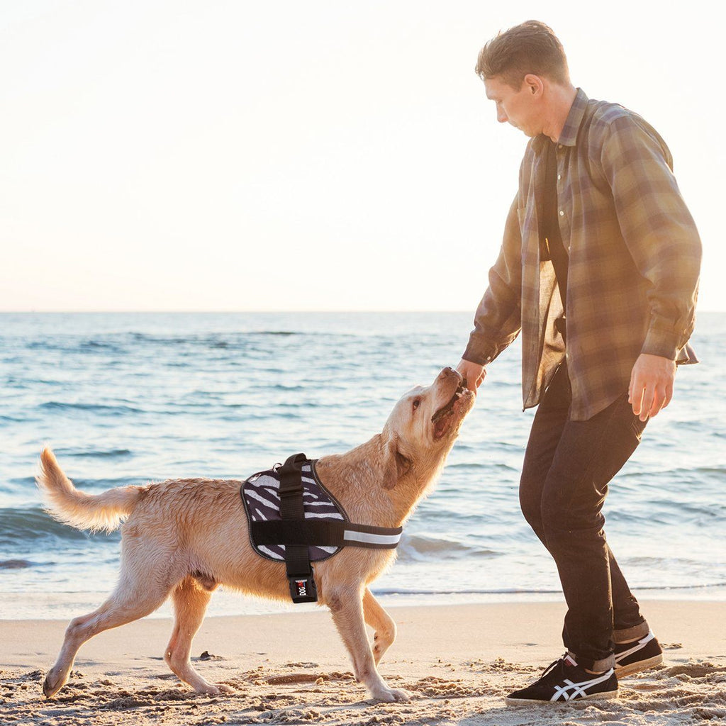 Unimax Multi-Purpose Dog Harness