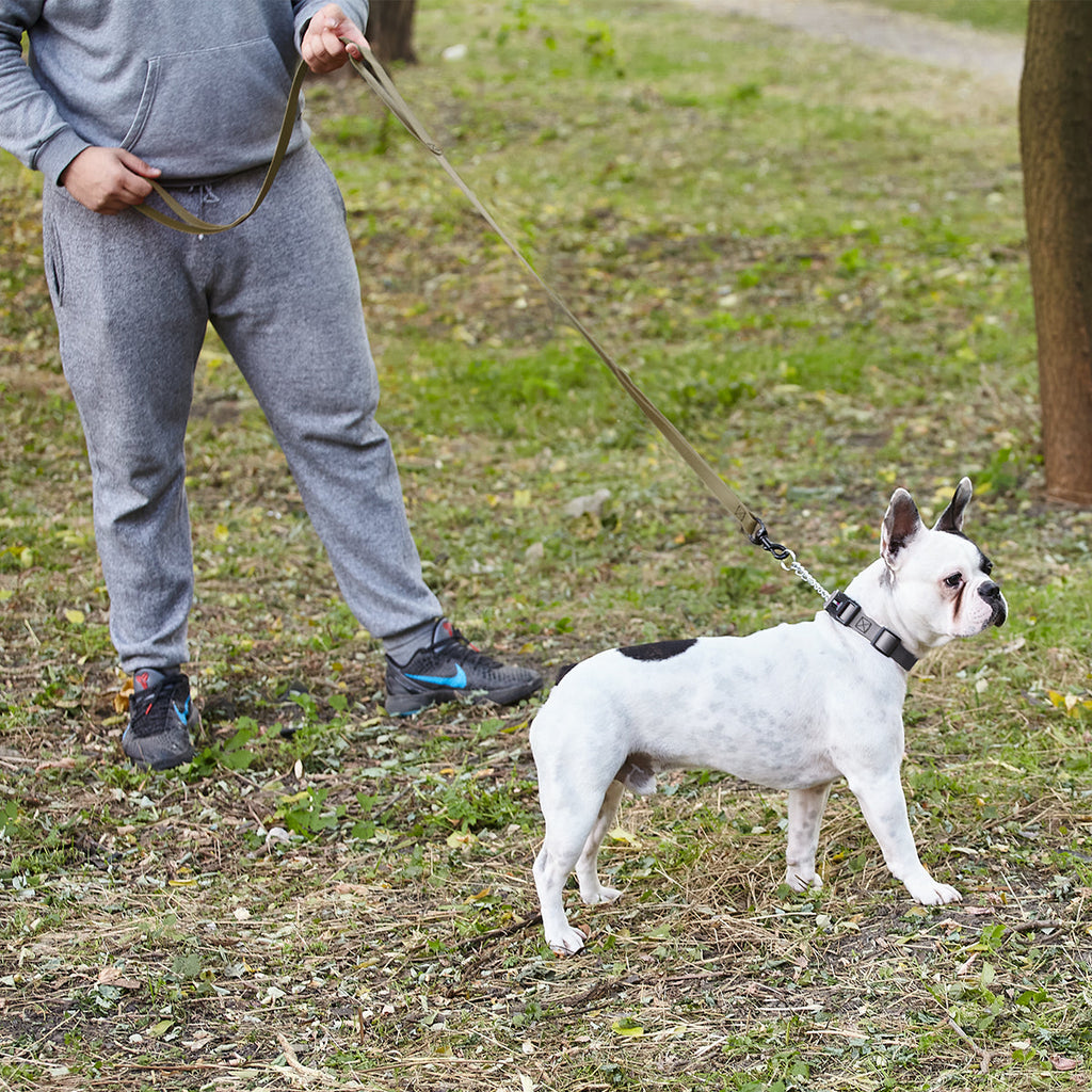 Biothane Waterproof Multi-Handle Dog Leash