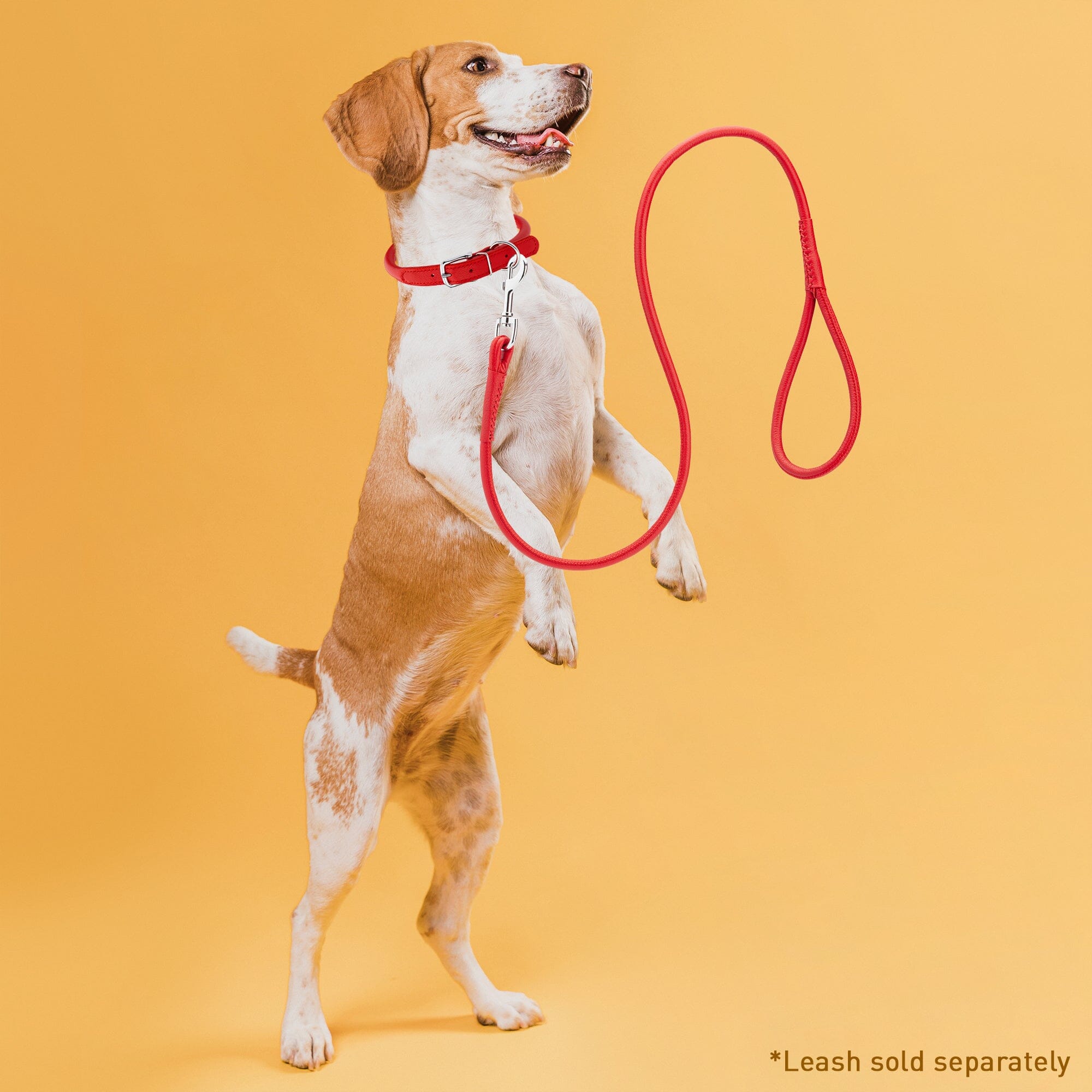 Soft Leather Round Dog Collar