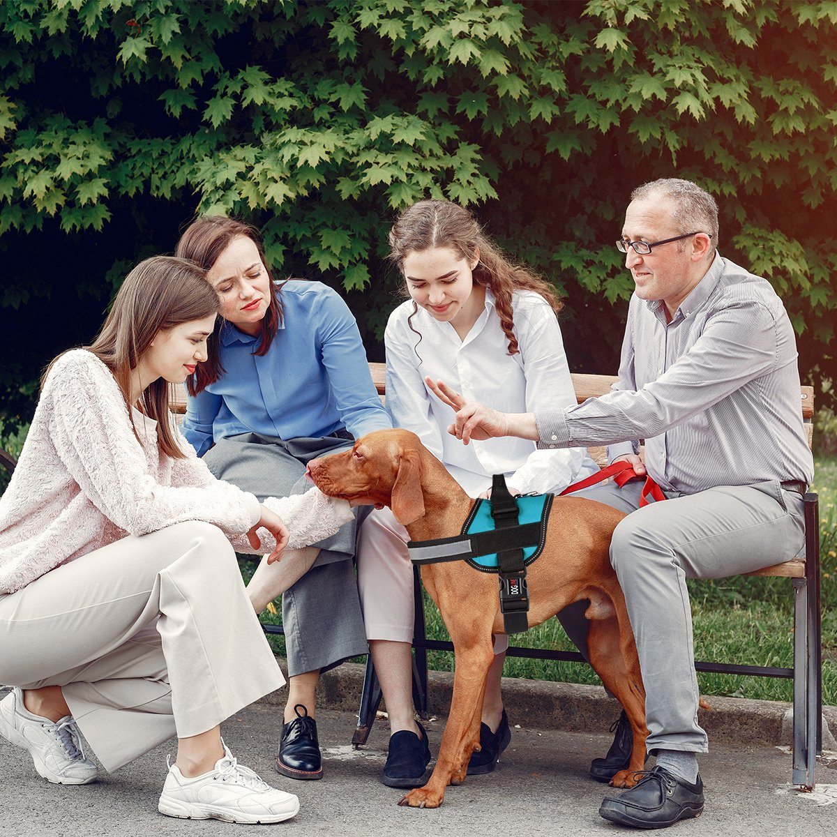 Unimax Multi-Purpose Dog Harness